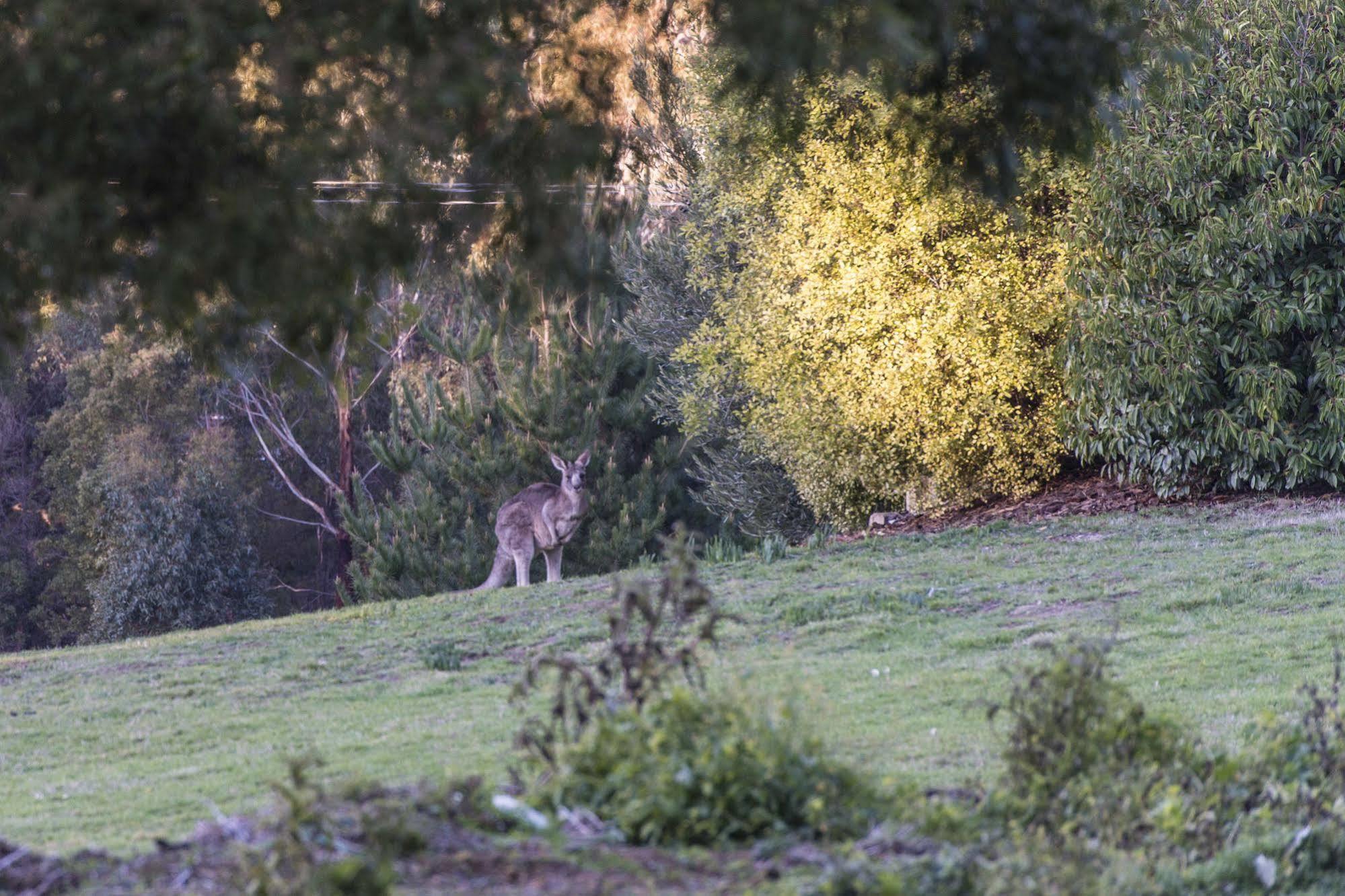 Macedon Ranges Hotel&Spa Buitenkant foto